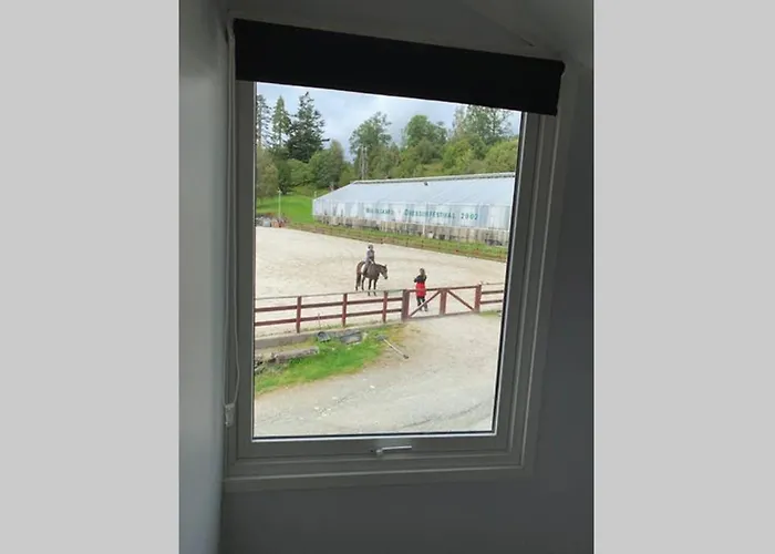 Moldegaard Riding 度假居 *