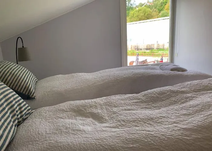 Moldegaard Riding 度假居 Moldegard